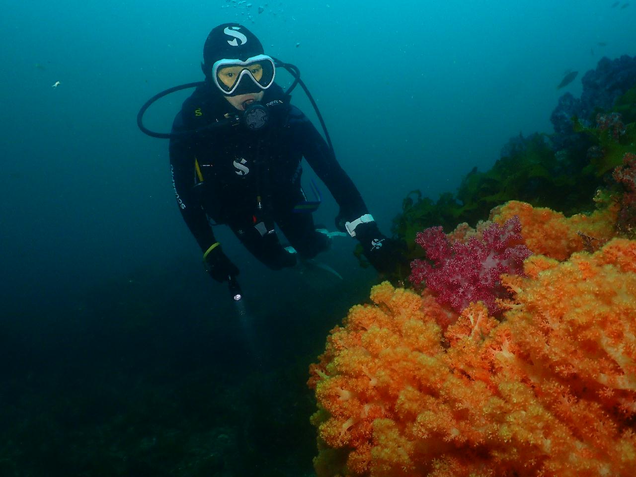 제주도 문섬 다이빙 영상(2019.06.13)
