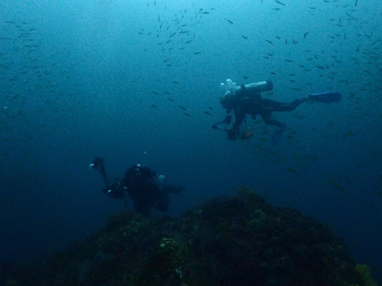 100만년에 외돌개 고고~