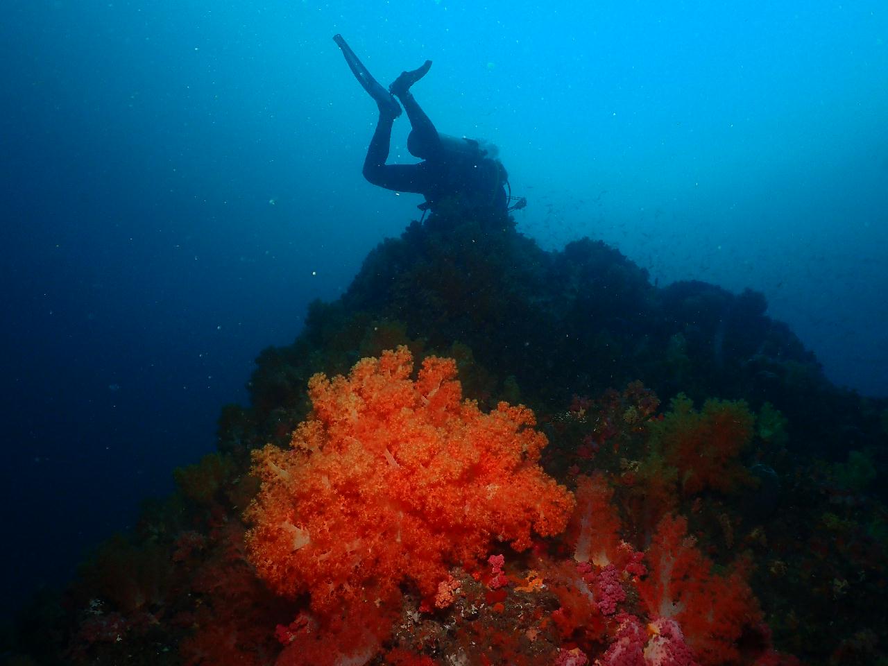 100만년에 외돌개 고고~