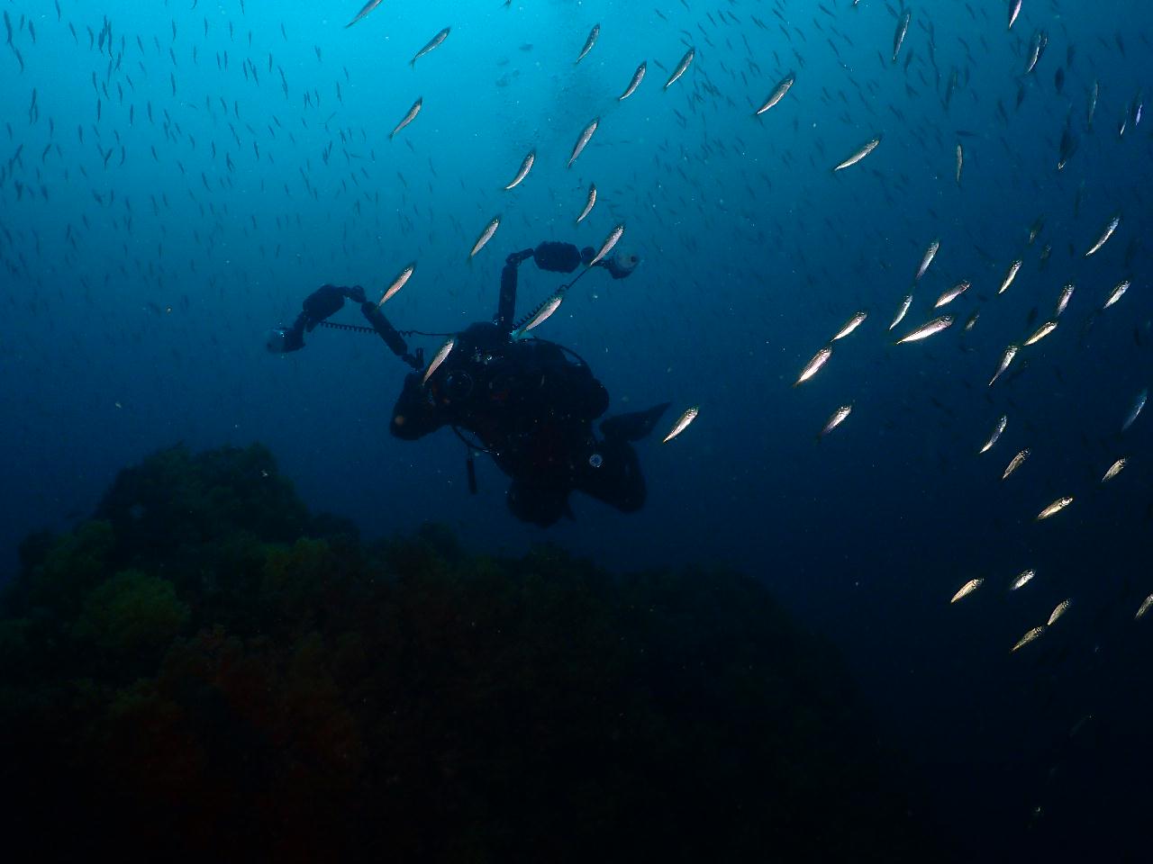 100만년에 외돌개 고고~