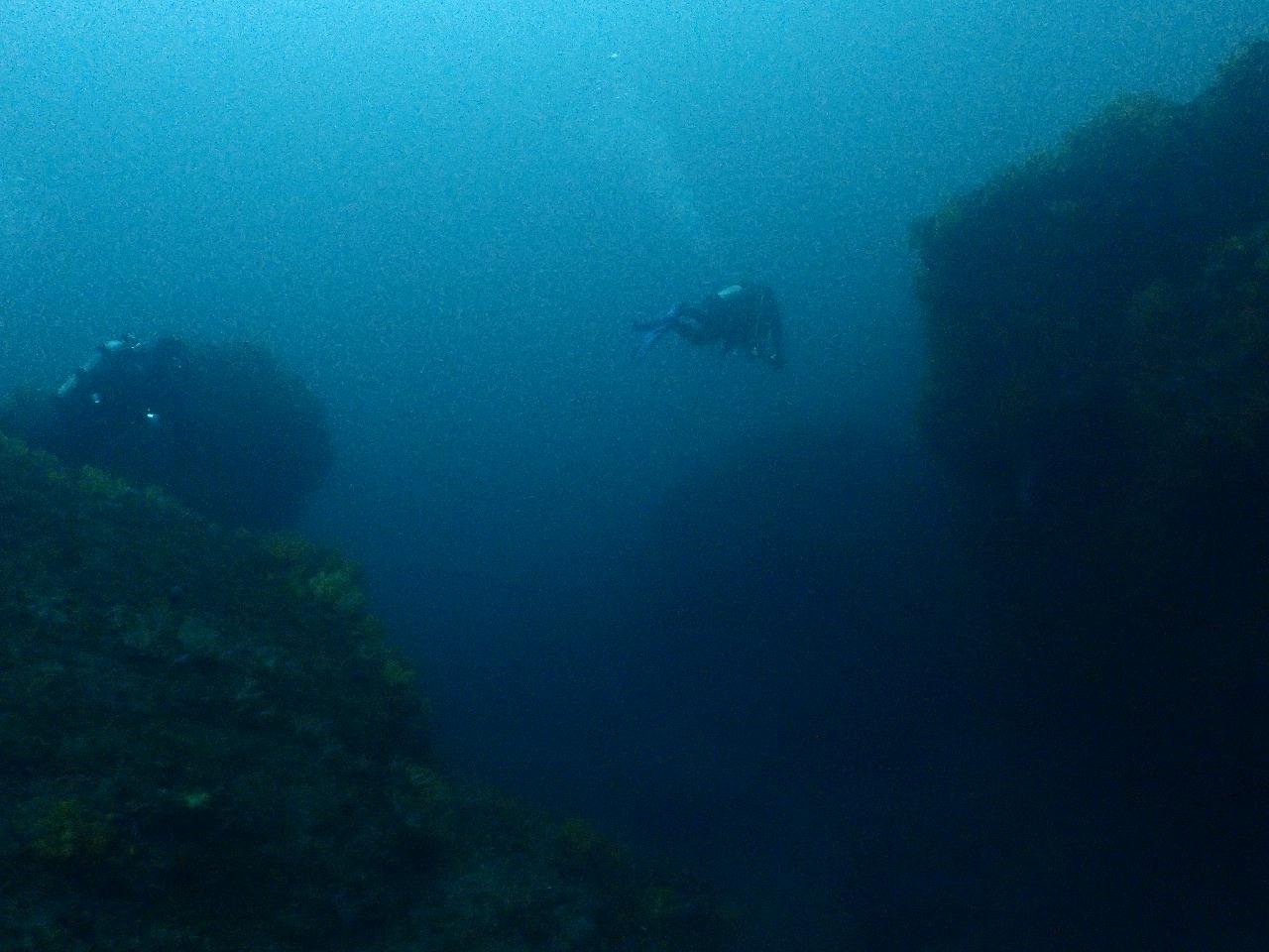 100만년에 외돌개 고고~
