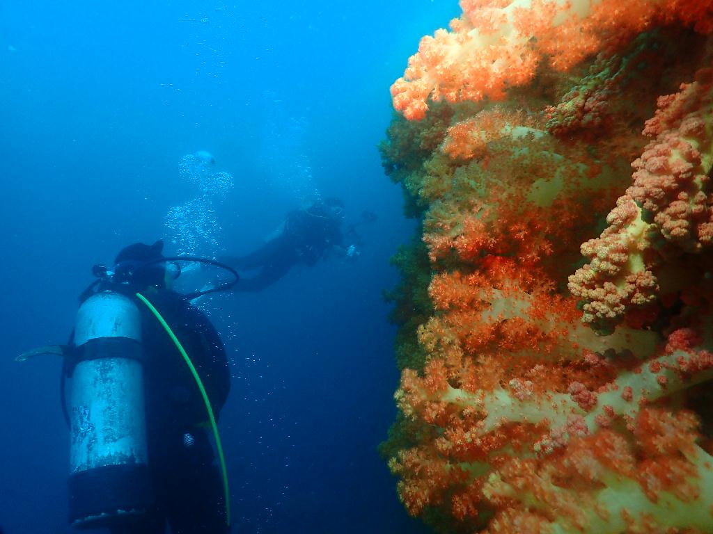 펀다이빙 - 제주도 굿다이버 - 문섬 새끼섬(한바퀴)