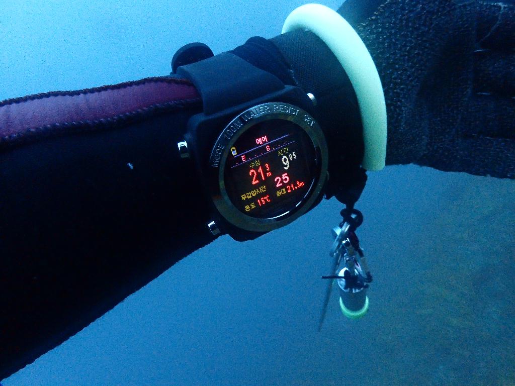 펀다이빙 - 제주도 굿다이버 - 문섬 새끼섬(한바퀴)