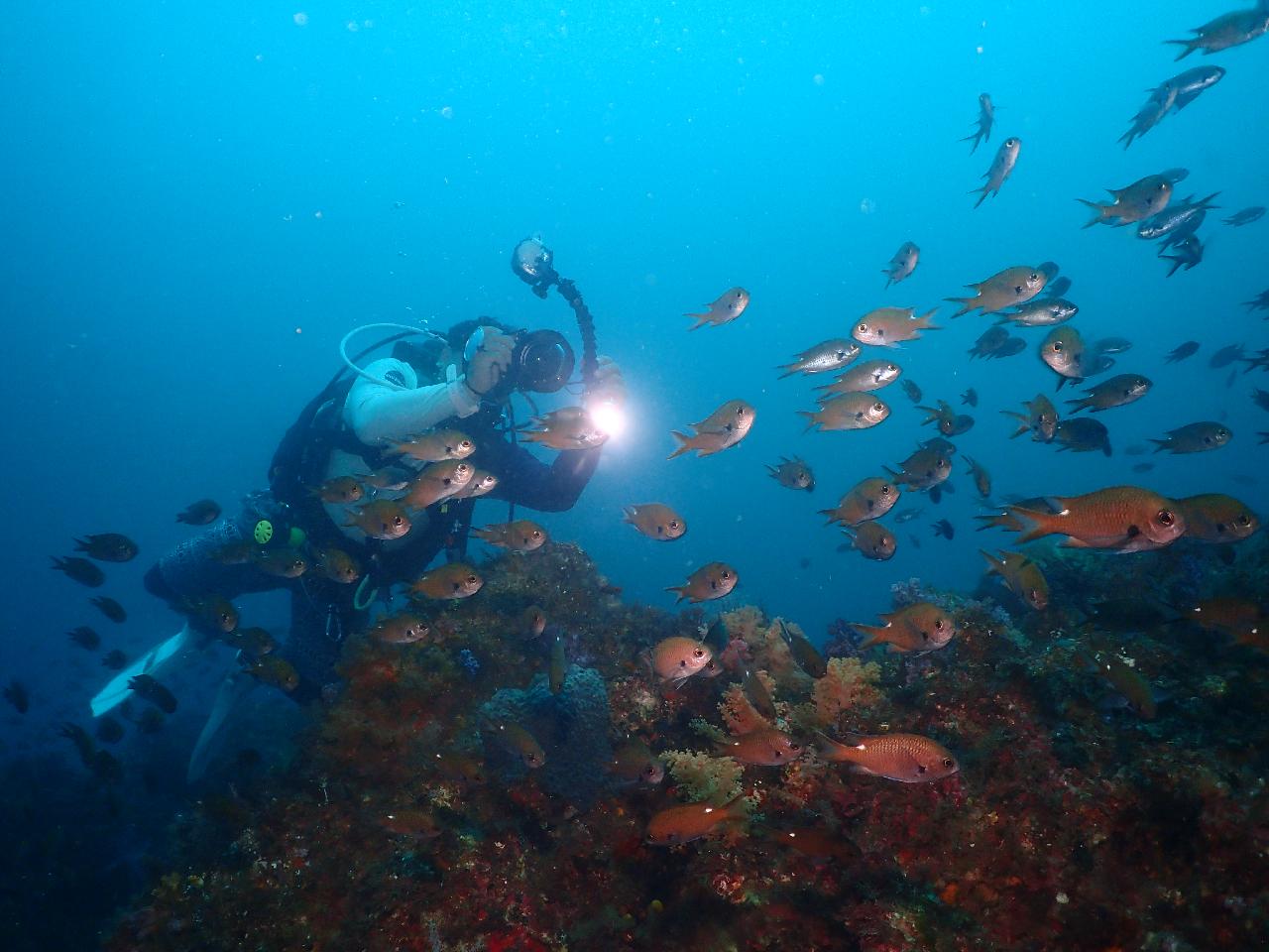 ジェジギ（Jejigi）ポイント紹介 - 済州島 西帰浦